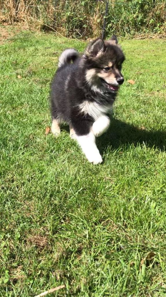 Reste 3 bébés de disponibles.